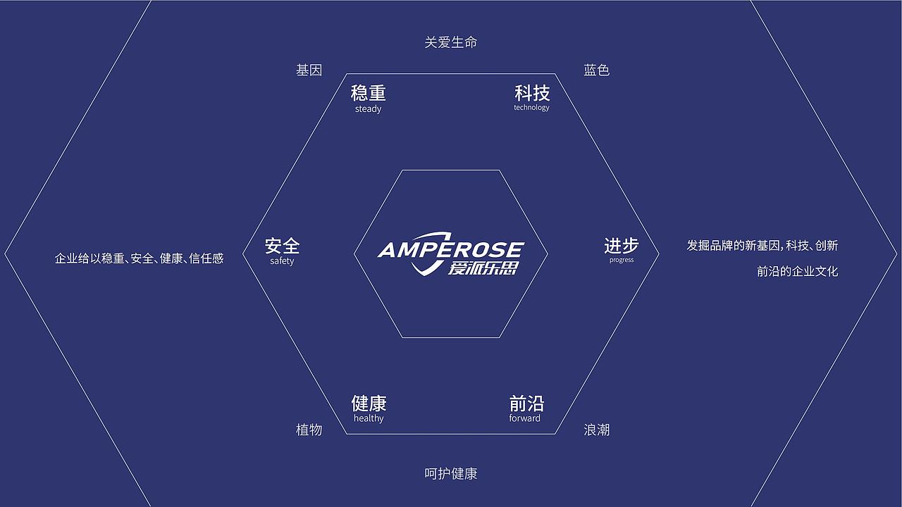 爱派乐思品牌视觉设计全案