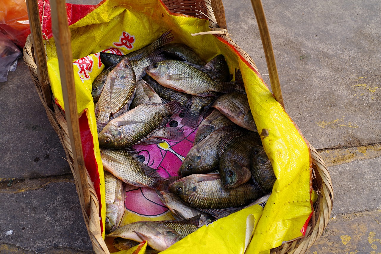 赶云南大集,看稀奇,食爆浆肥肠
