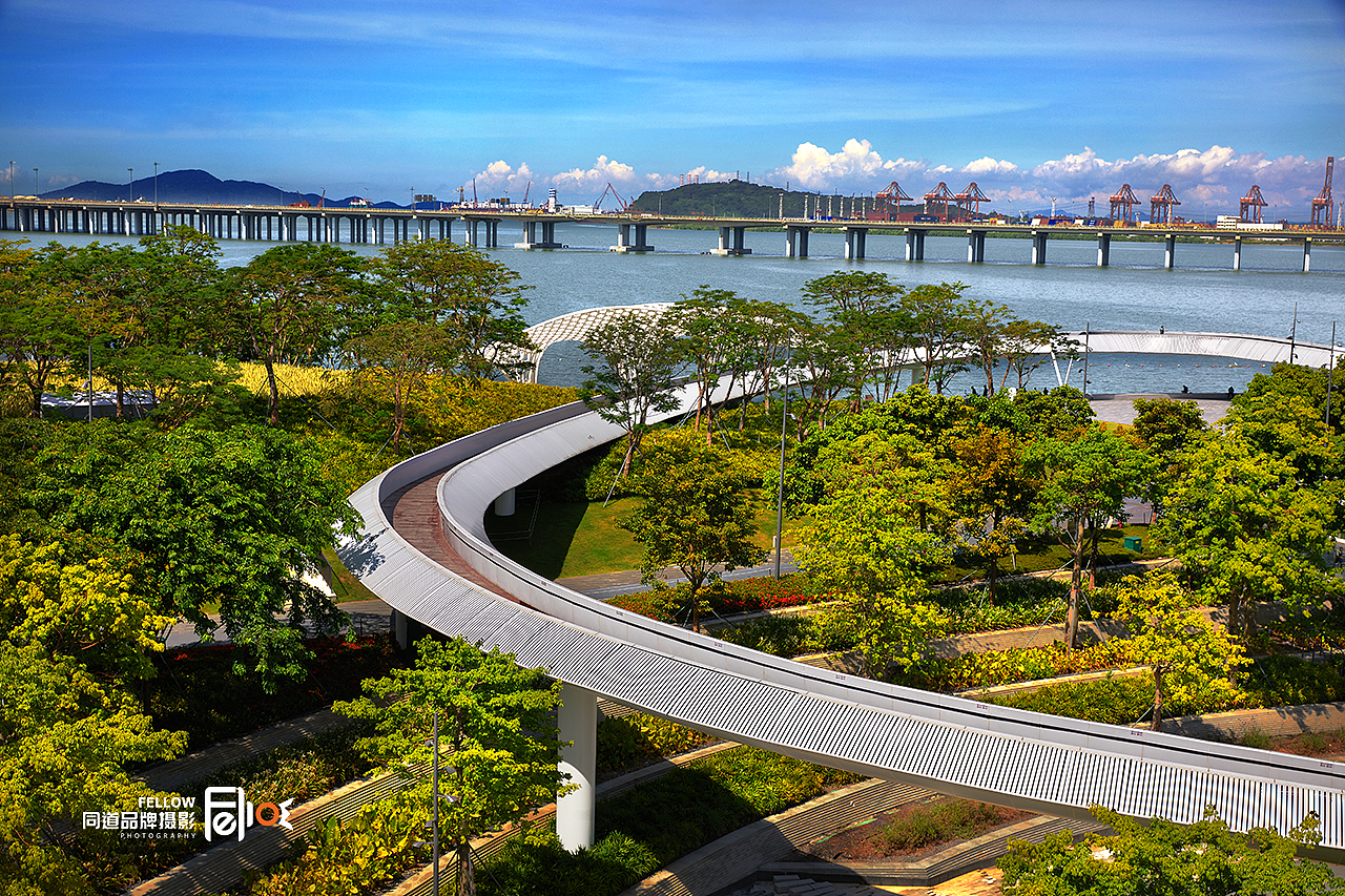 前海欢乐海湾摩天轮