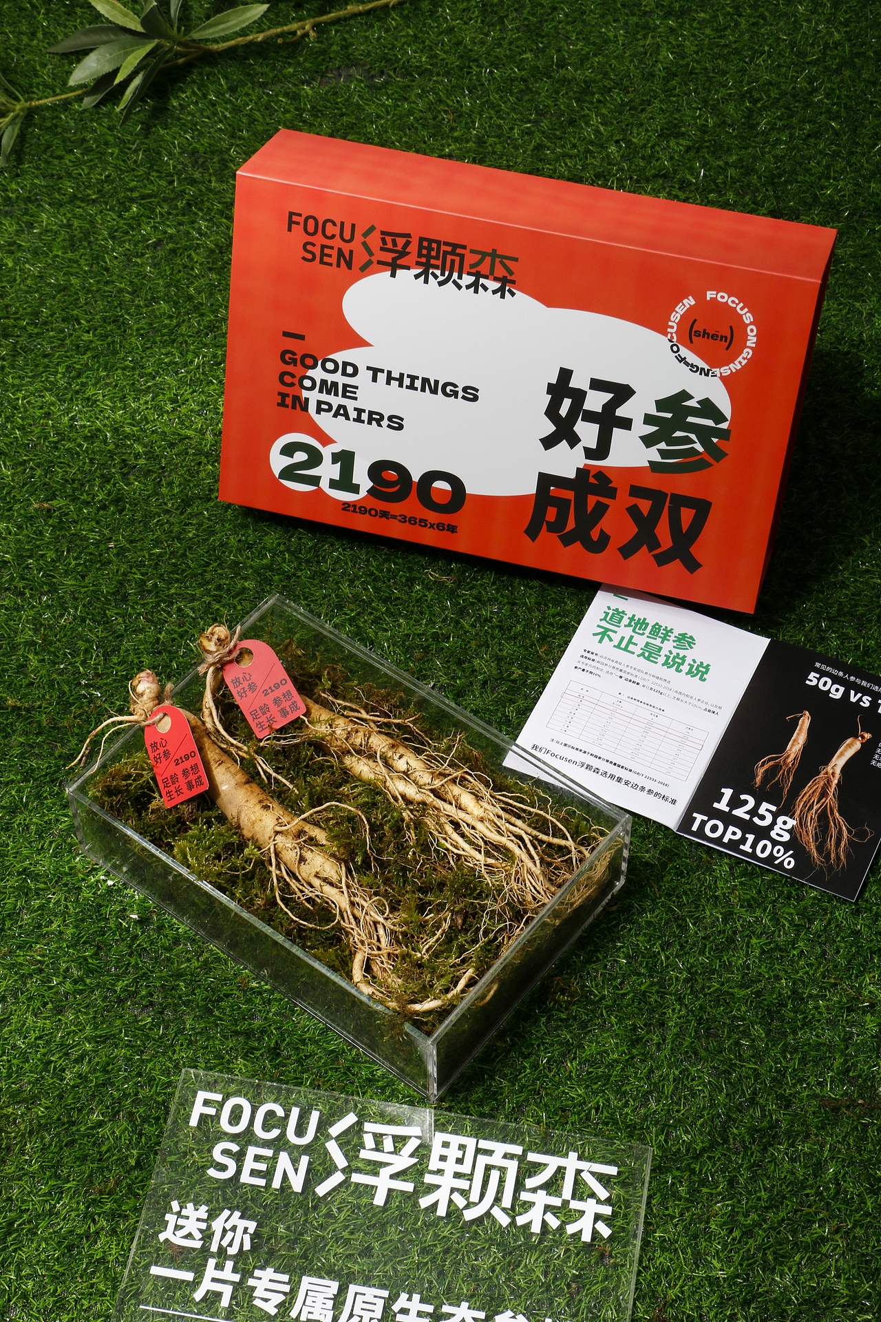 原創(chuàng)｜2190??Focusen禮盒設(shè)計（圖ZMzI1MzA5Njky） - 包裝 - 站酷設(shè)計師米斗設(shè)計工作室原創(chuàng)素材 - 站酷ZCOOL