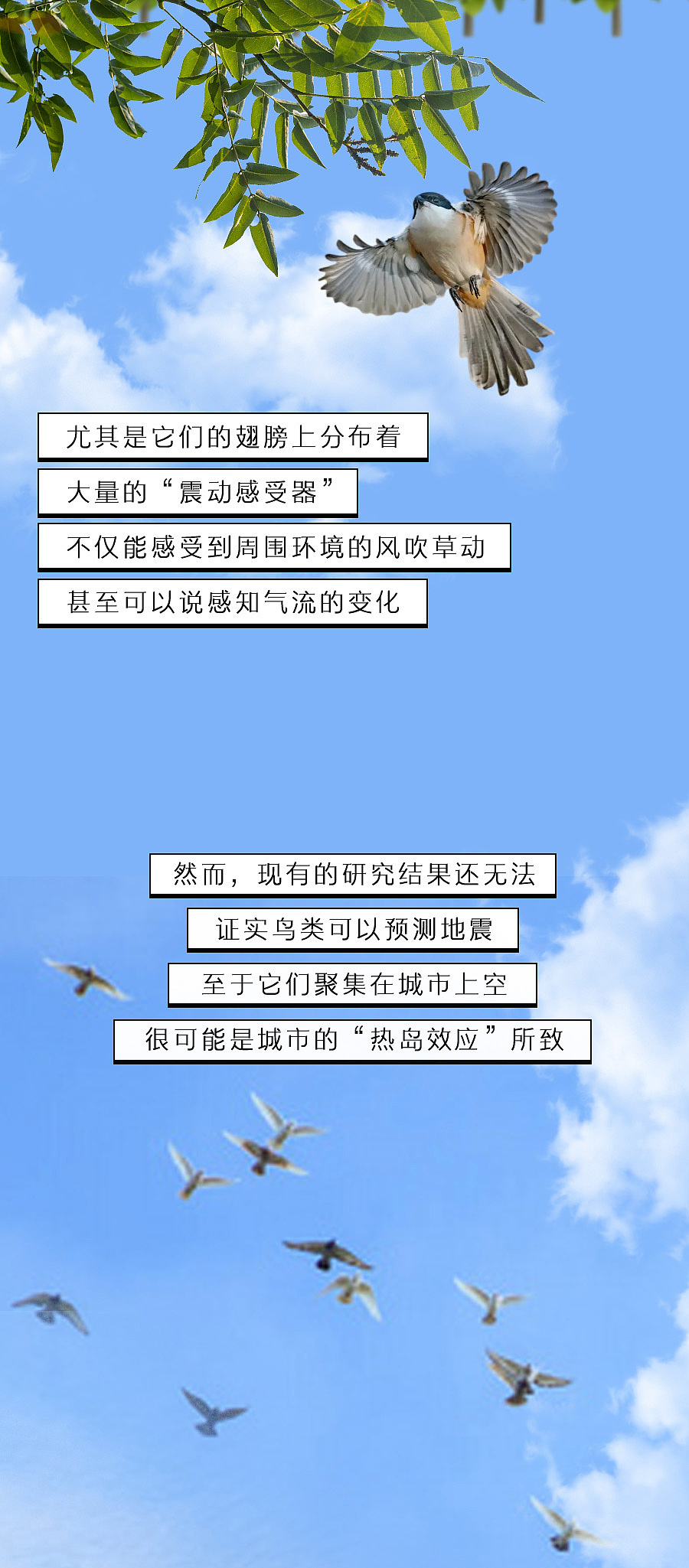 动物感知地震能力真比人强？（图ZMzE0OTk1NTA0） - 中/长篇漫画 - 站酷设计师知识嗑儿原创素材 - 站酷ZCOOL