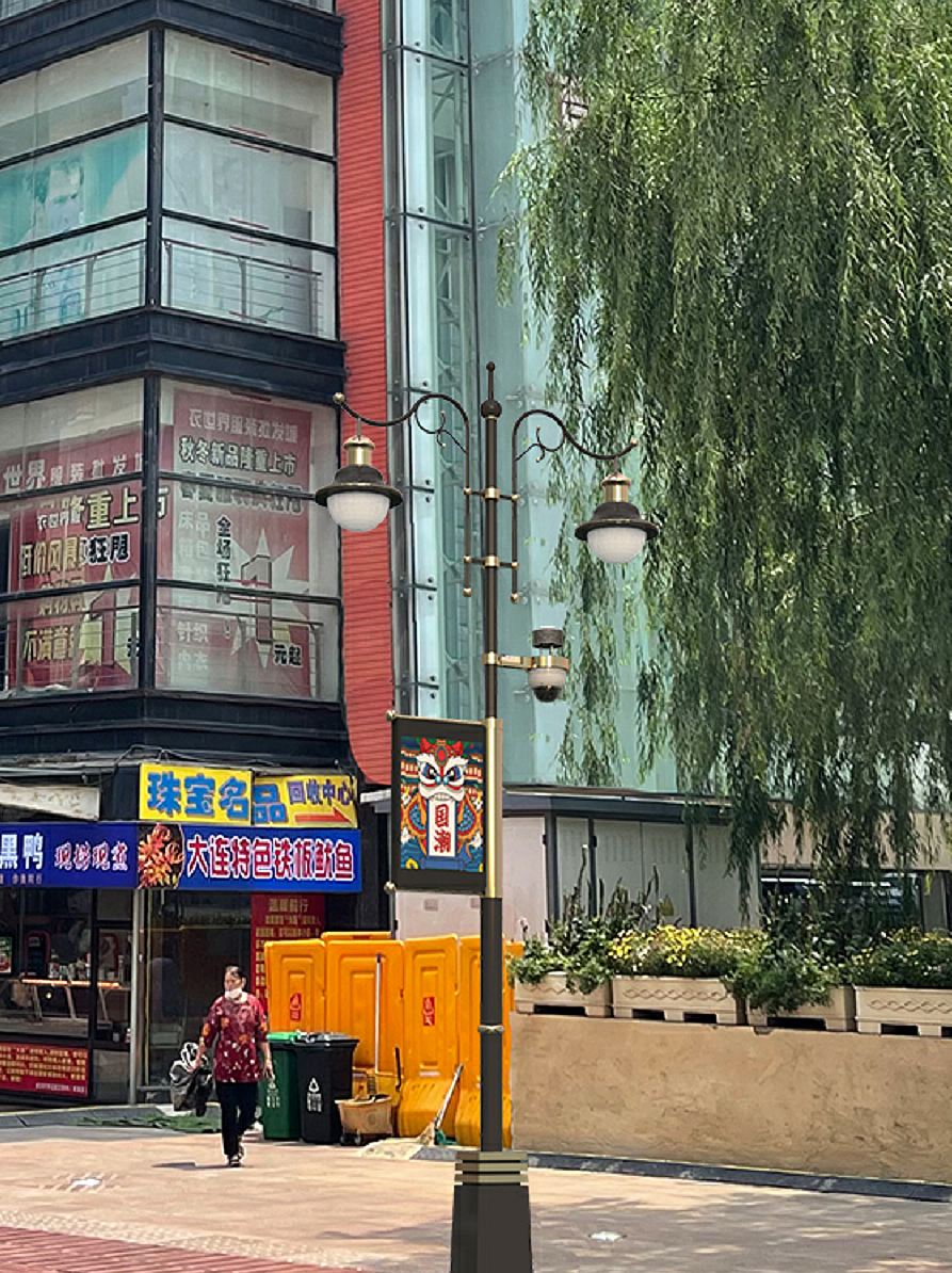 大连天津街智慧路灯设计方案
