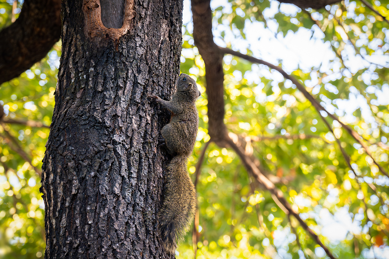2021-2023丨年度摄影总结（图ZMzU4ODkyMDc2） - 其他摄影 - 站酷设计师陈子奕原创素材 - 站酷ZCOOL