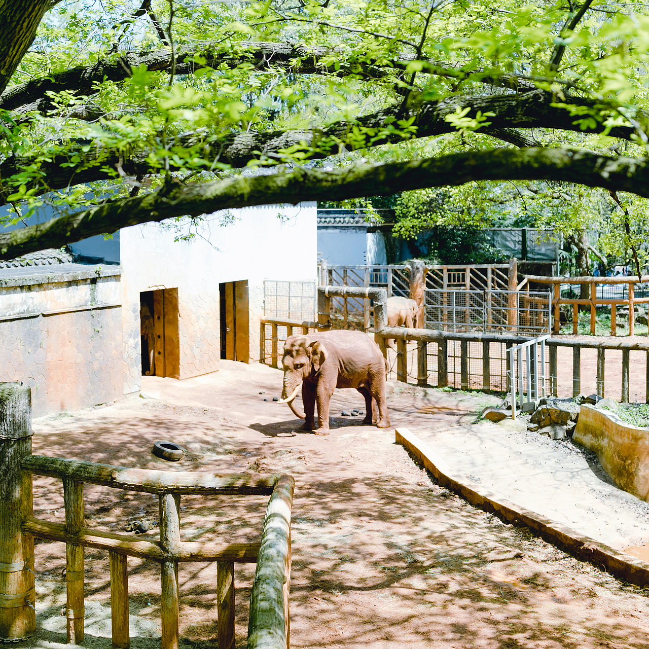 你是春天的一部分