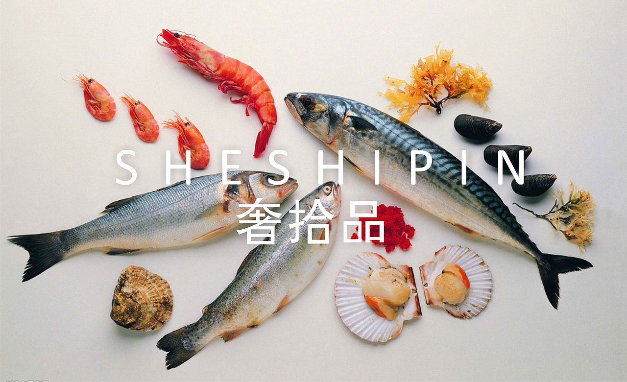 奢拾品(海产品类)logo设计（图ZMzExOTgxMTQ4） - Logo - 站酷设计师王念周原创素材 - 站酷ZCOOL