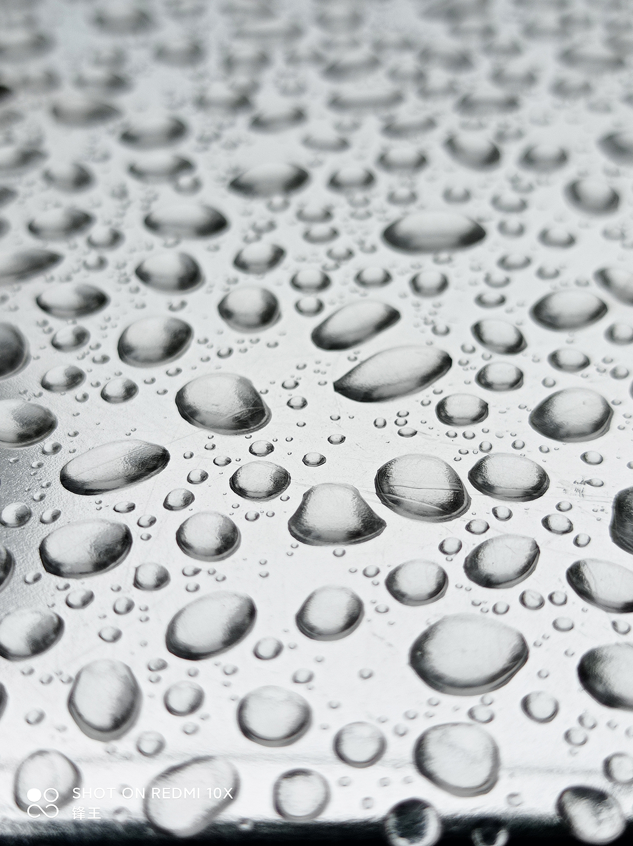 平铺满构图摄影（图ZMzA4NTE2NDc2） - 其他摄影 - 站酷设计师冰锋箭雨原创素材 - 站酷ZCOOL