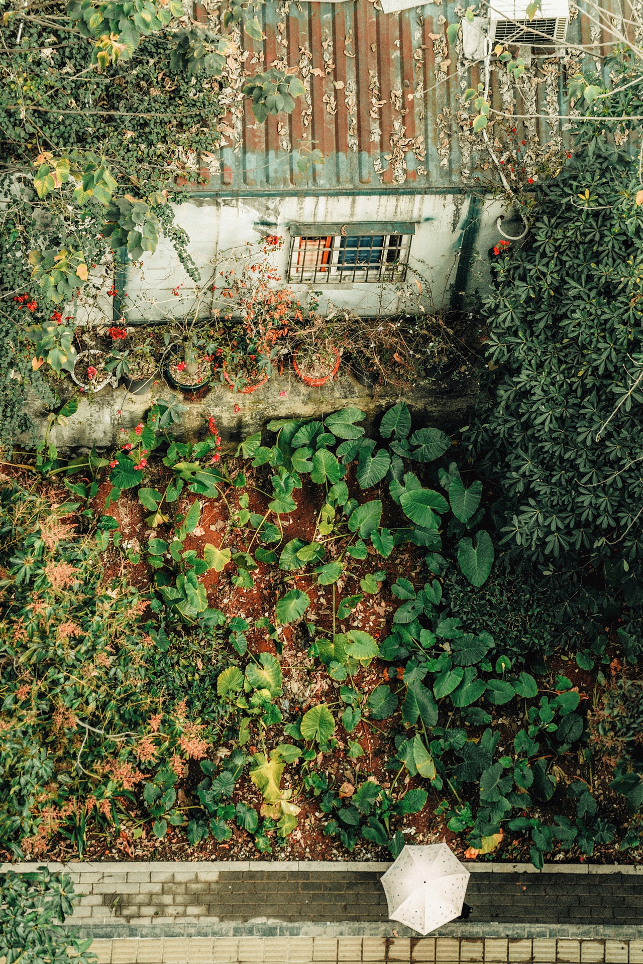 重庆旅拍纪实,每个人心中都有一束光