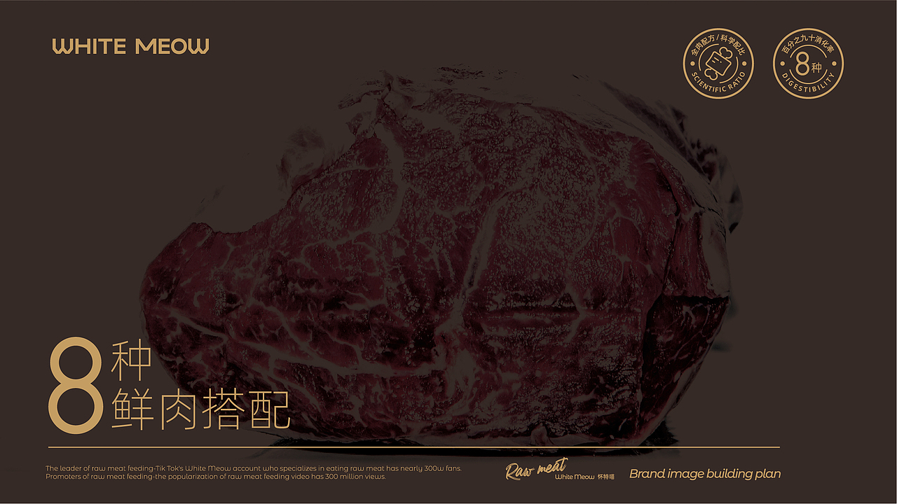 生骨肉喂养专家——怀特喵·宠物品牌升级（图ZMzEwMDYyNjE2） - 品牌 - 站酷设计师核桃设计原创素材 - 站酷ZCOOL