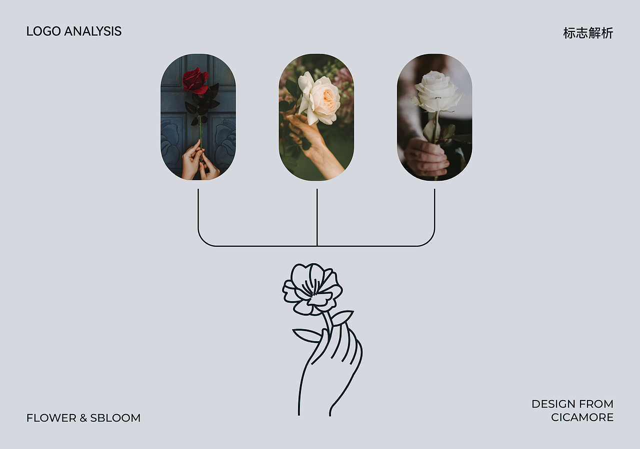 花店品牌设计（图ZMzE2MDI4MDIw） - 品牌 - 站酷设计师吴平cicamore原创素材 - 站酷ZCOOL