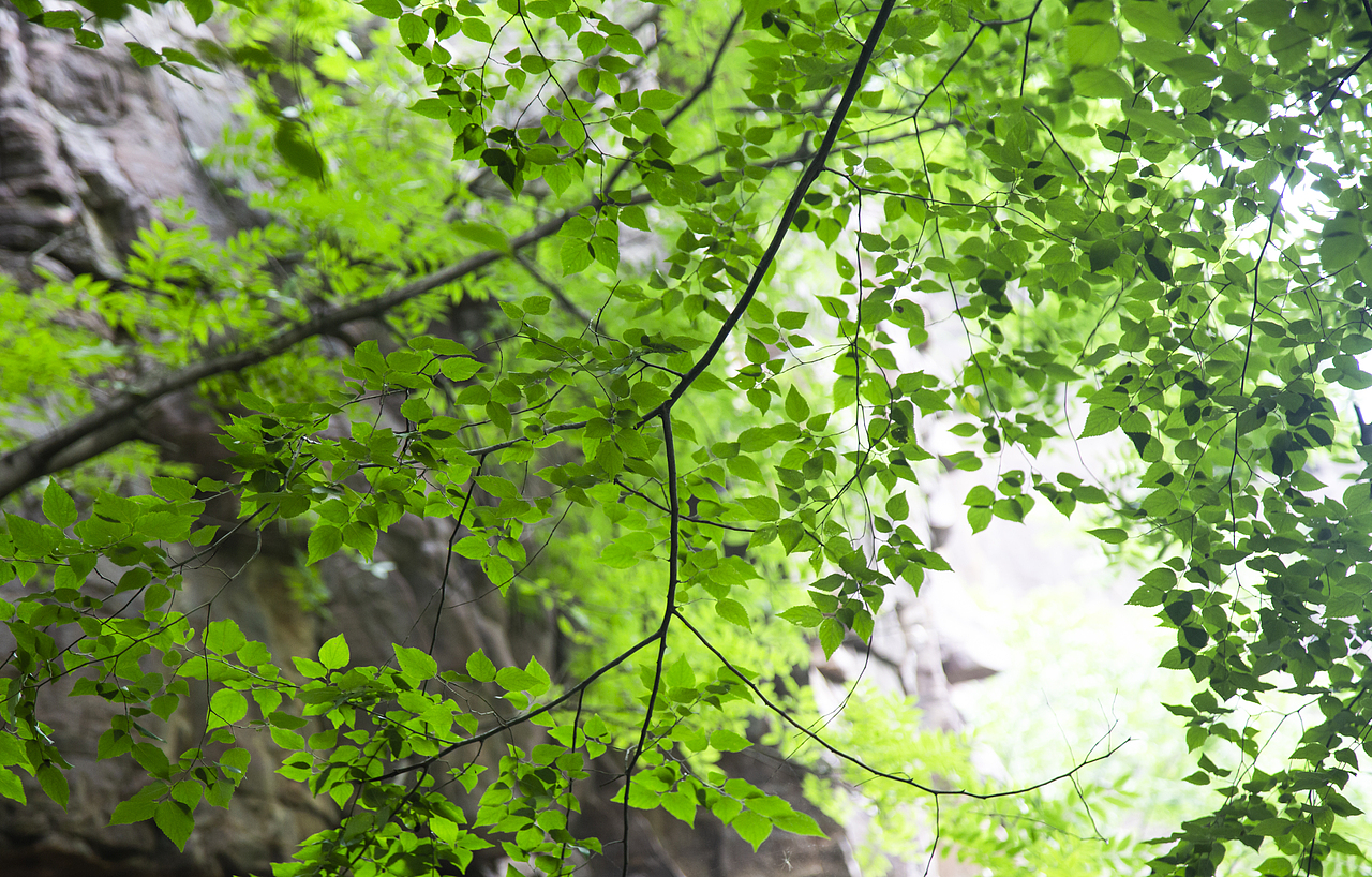 《山水》-盛夏（图ZMzEwMjgzNzQ4） - 风光摄影 - 站酷设计师寒塘Y原创素材 - 站酷ZCOOL