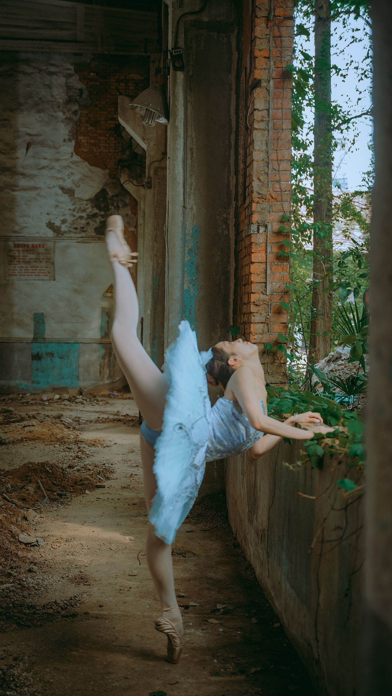 废墟上的芭蕾