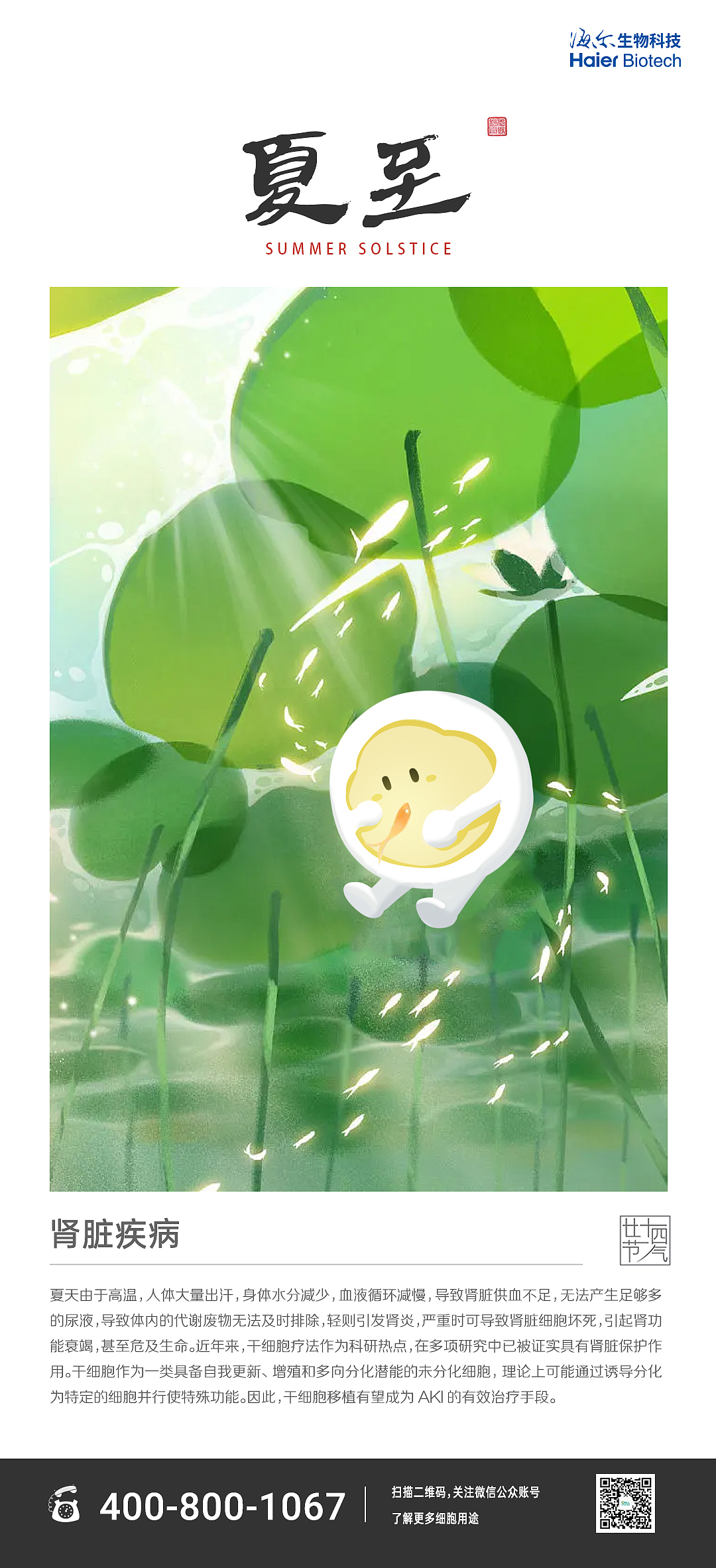 24节气——夏至