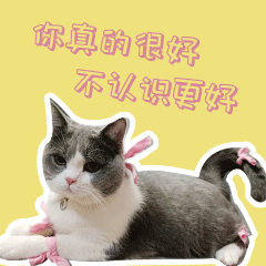 叮当的单身生活（图ZMzEzNzU3MjQ0） - 网络表情 - 站酷设计师runningPP原创素材 - 站酷ZCOOL