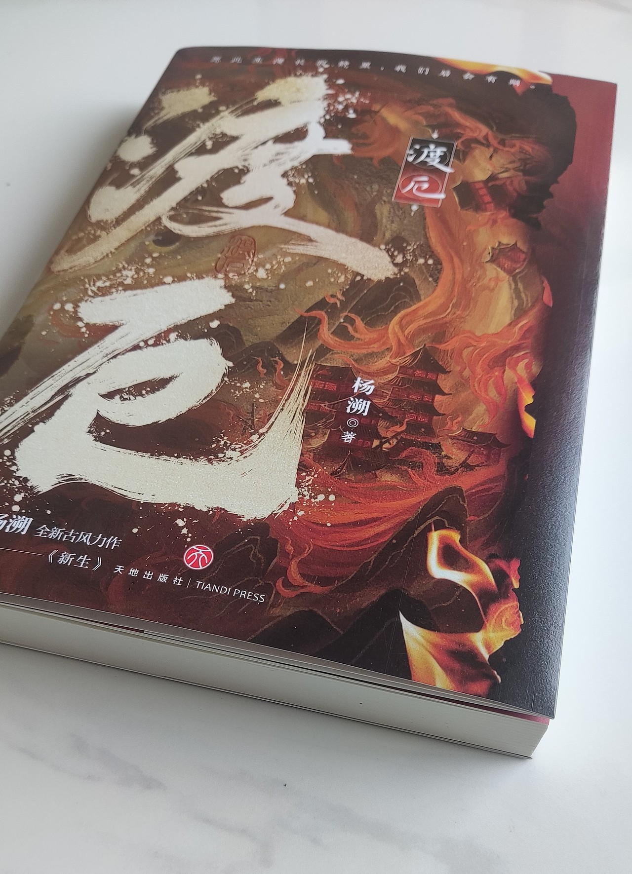 《渡厄》书籍封面（图ZMzU4NzE4NTky） - 商业插画 - 站酷设计师HX昏晓原创素材 - 站酷ZCOOL