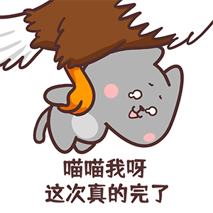 猫与熊||小N小Q情人节篇