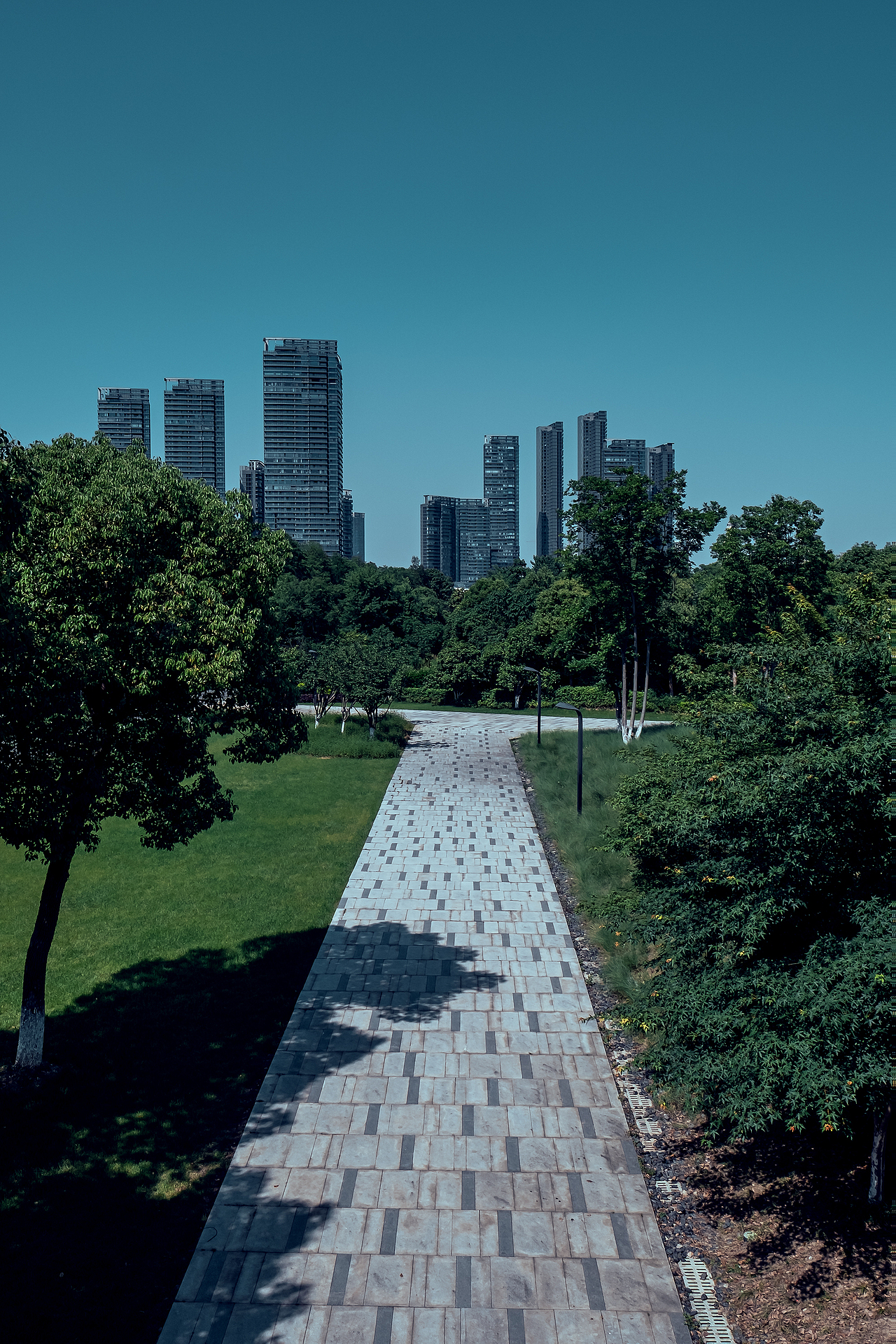 酷暑下的武汉市东湖绿道(华侨城段)