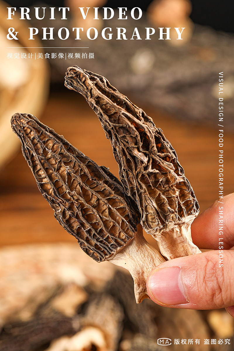 羊肚菌拍摄 野生羊肚菌 羊肚菌图片 菌菇产品摄影图