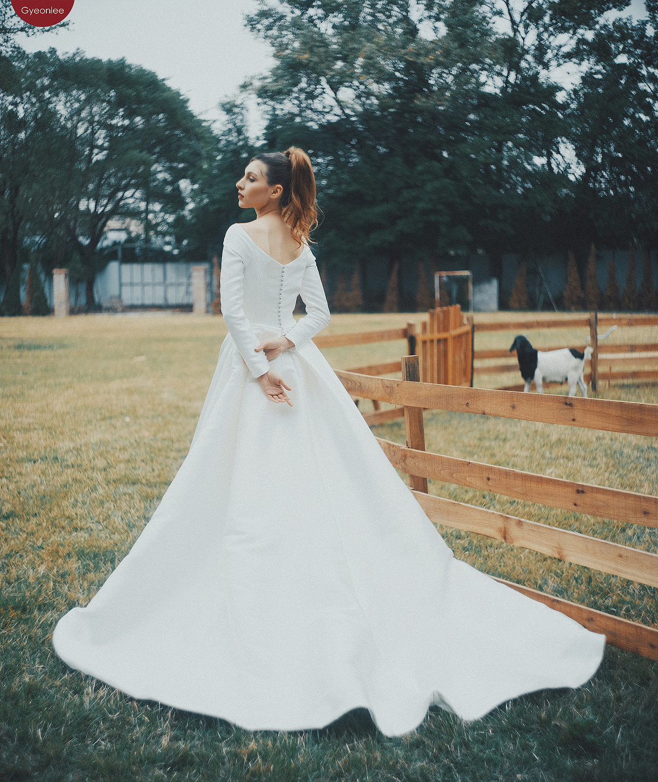 欧美婚纱样片拍摄