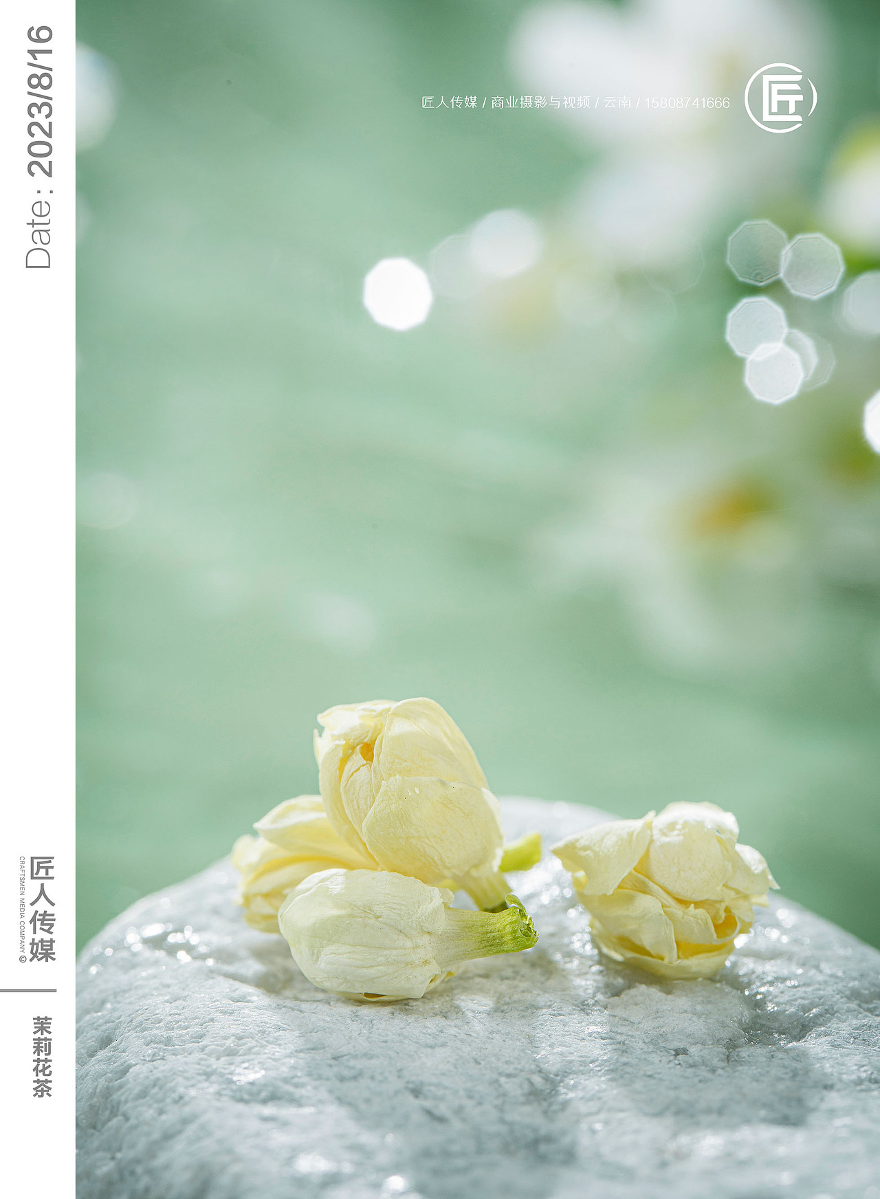 茶叶视频拍摄 茉莉花茶拍摄 茶叶拍摄 茶叶小视频制作