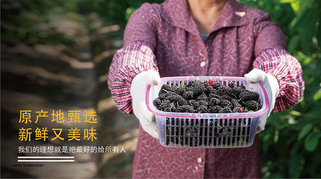 家楼下vi品牌设计