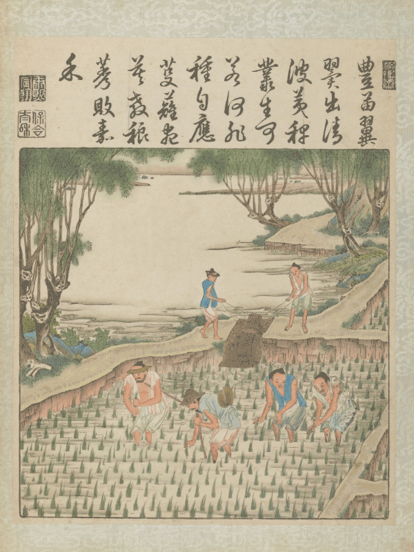 央视“丰”晚-《耕织图》动画制作