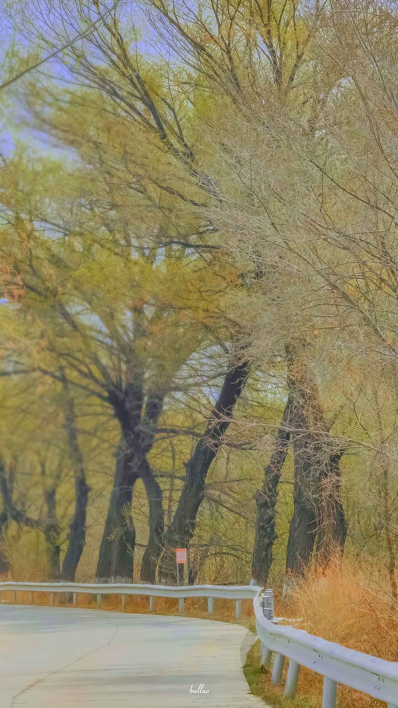 手机摄影作品5（图ZMjk5NzEwMjQw） - 风光摄影 - 站酷设计师限时救援原创素材 - 站酷ZCOOL