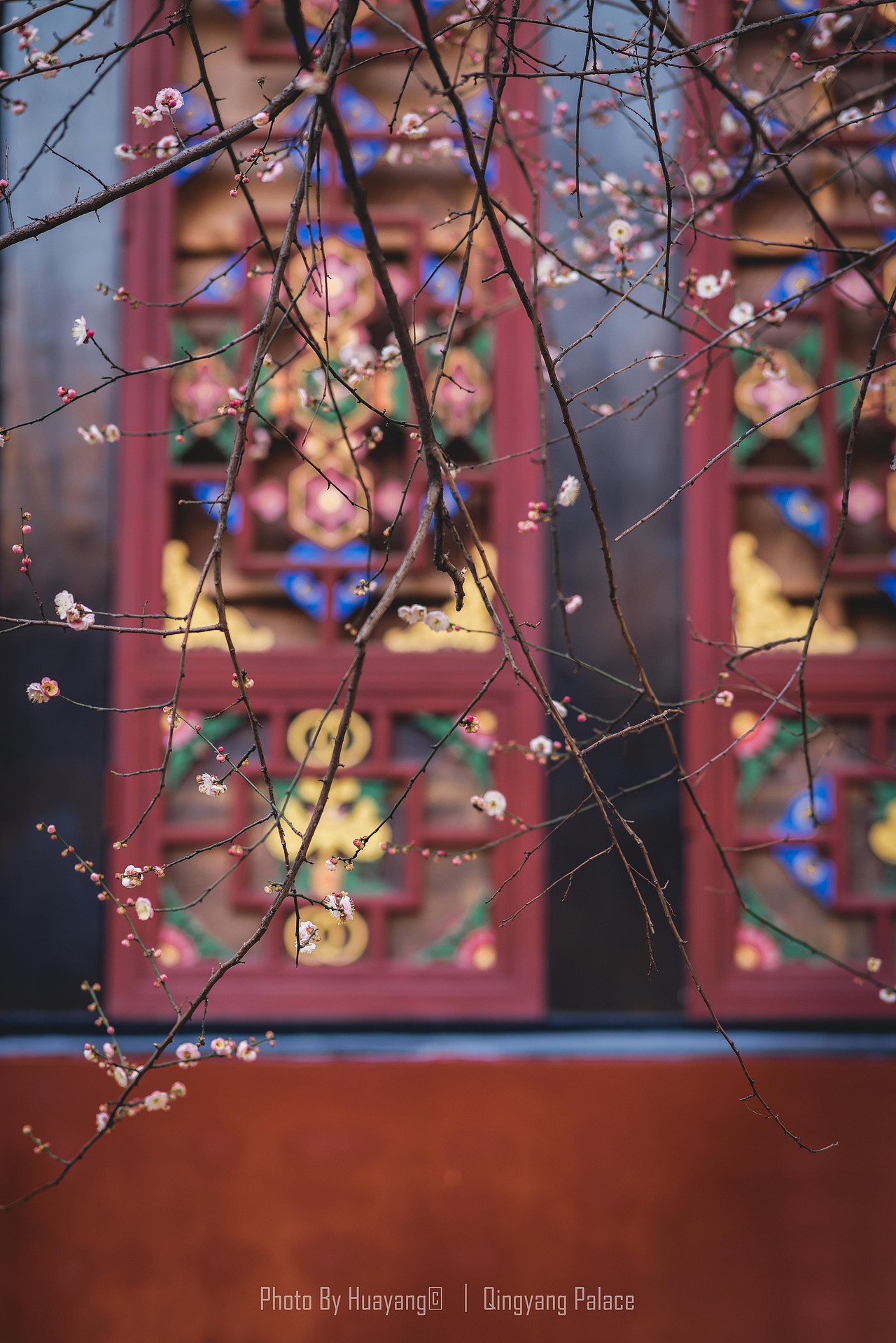成都║青羊宫 古寺残枝含梅笑（图ZMzI4NjQxNzI4） - 人文/纪实摄影 - 站酷设计师zihuatanejo1997原创素材 - 站酷ZCOOL
