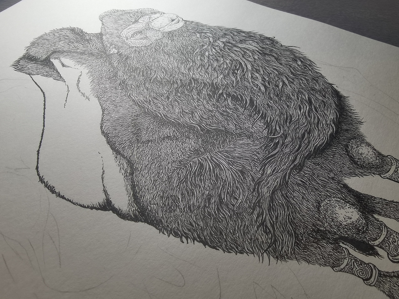 2024.02.27毣柞山海-北山经-虢山-骆驼(横版)