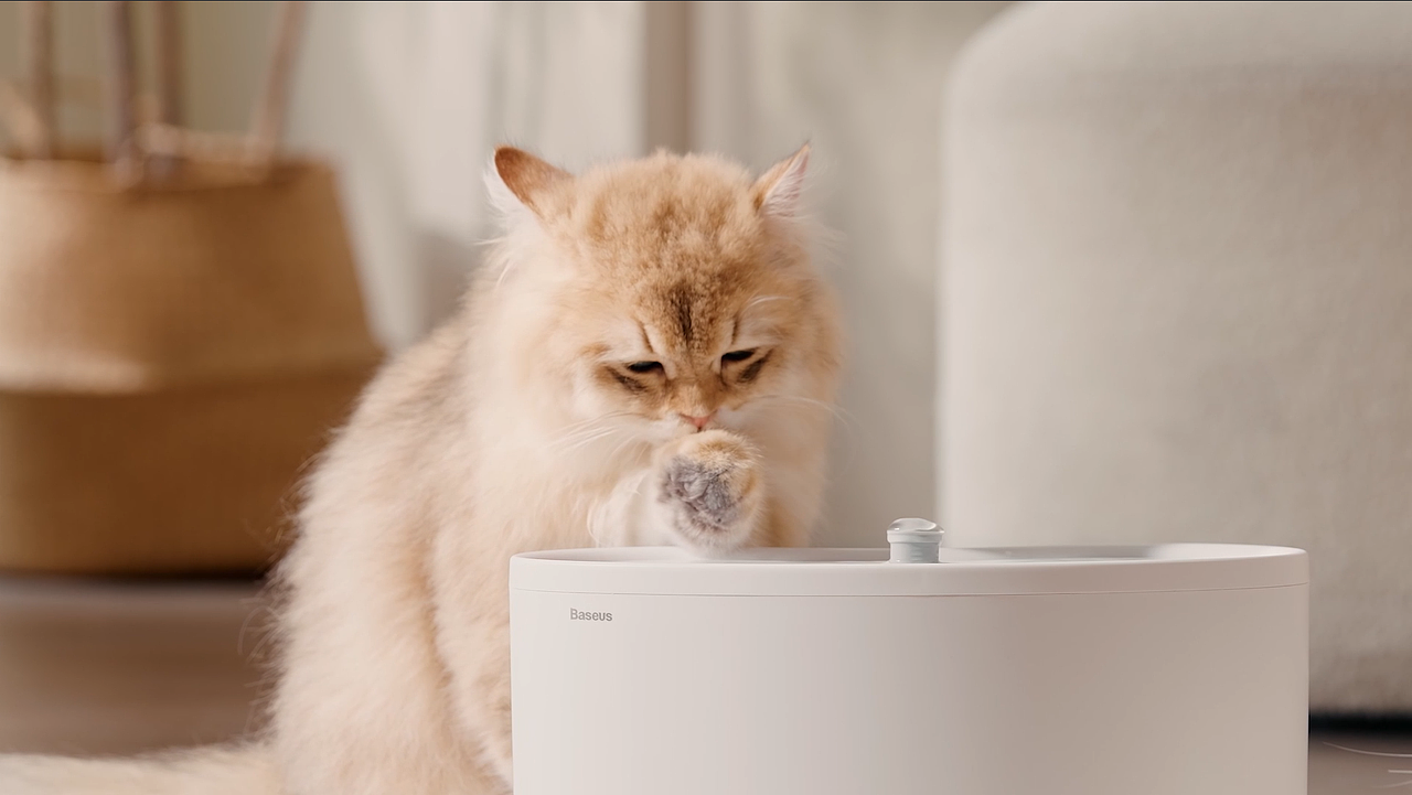 倍思 Lotis Y1 智能宠物饮水机