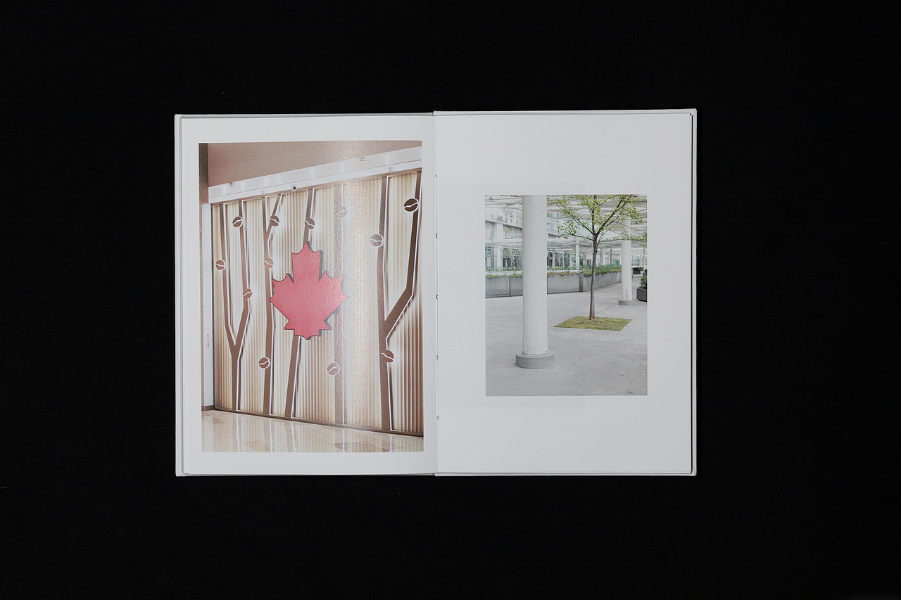 “景观社会”书籍设计