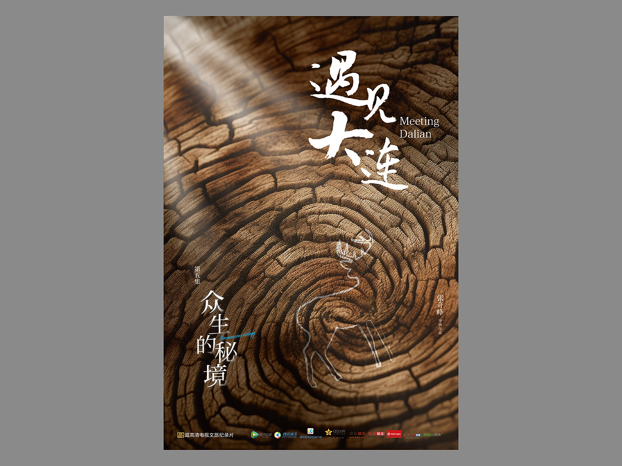 《遇见大连》大型4K超高清电视文旅纪录片（图ZMzQ1ODc5NzYw） - 宣传片 - 站酷设计师mitrazi原创素材 - 站酷ZCOOL