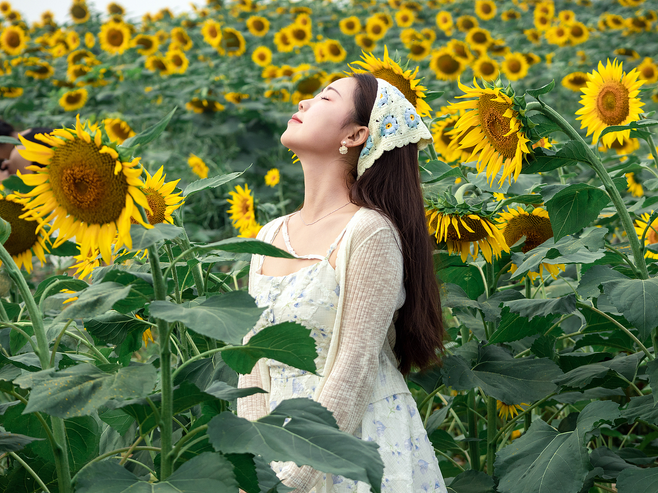 温榆河公园人像摄影