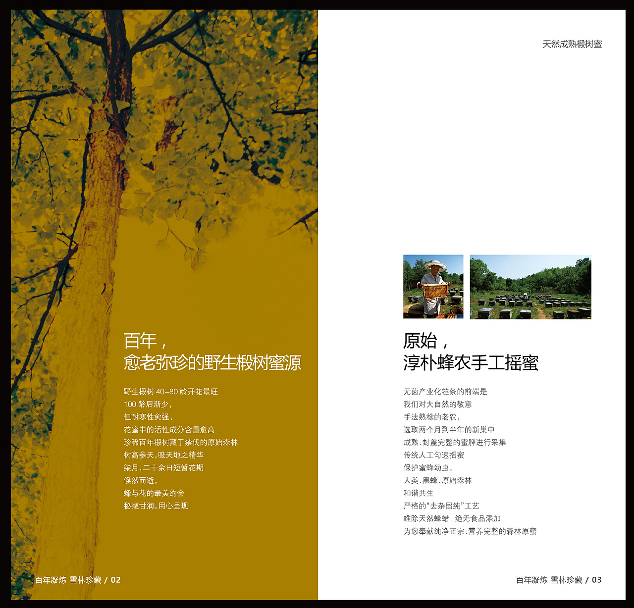 蜂蜜产品画册设计