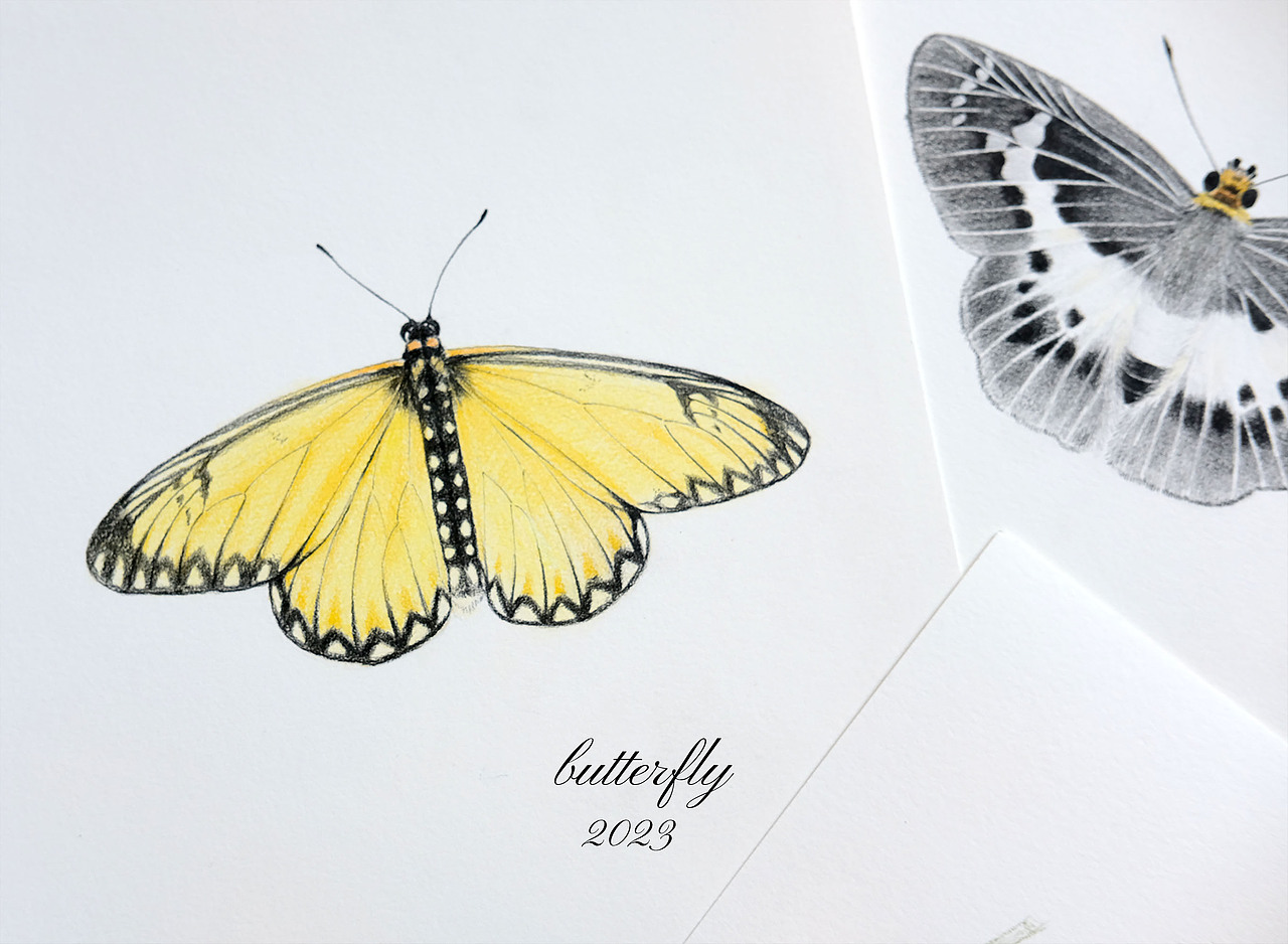 手繪的蝴蝶們（圖ZMzQ2NTYwMTEy） - 繪畫(huà) - 站酷設(shè)計(jì)師橘大本原創(chuàng)素材 - 站酷ZCOOL