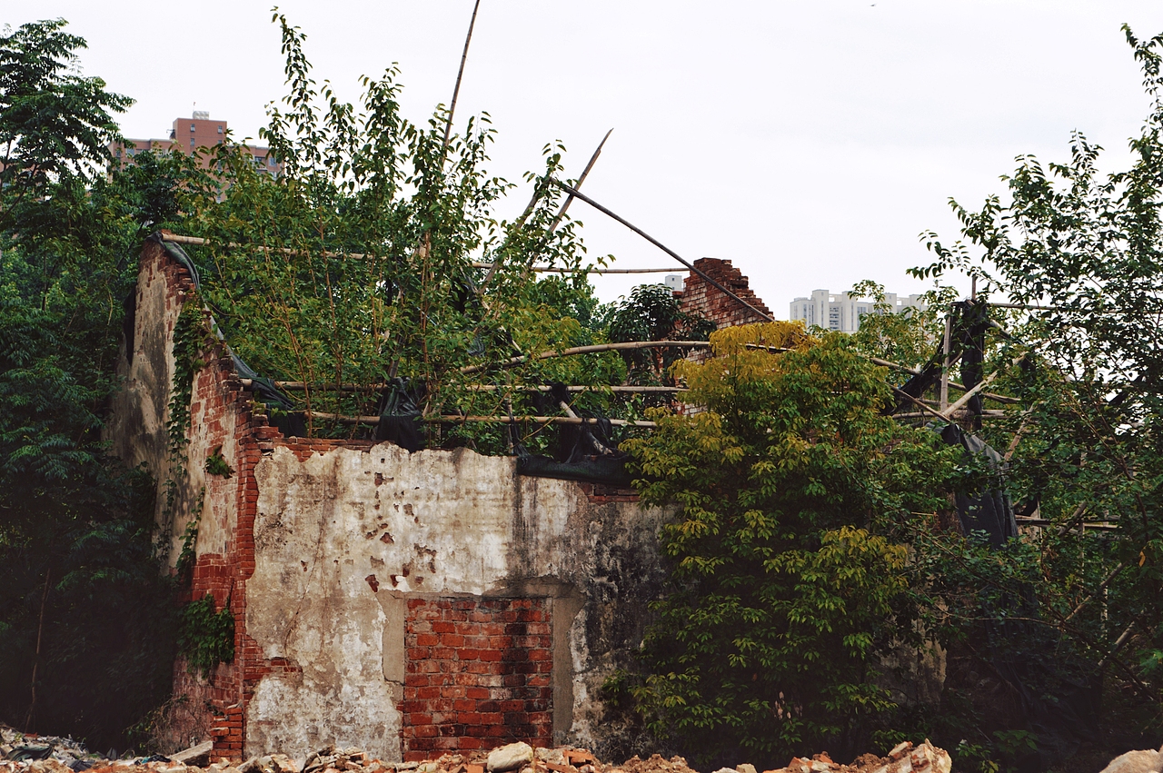 一些城市角落 于荒芜中灿烂 废墟中生长（图ZMzY5MTM0MDg4） - 人文/纪实摄影 - 站酷设计师天啦噜sqd原创素材 - 站酷ZCOOL