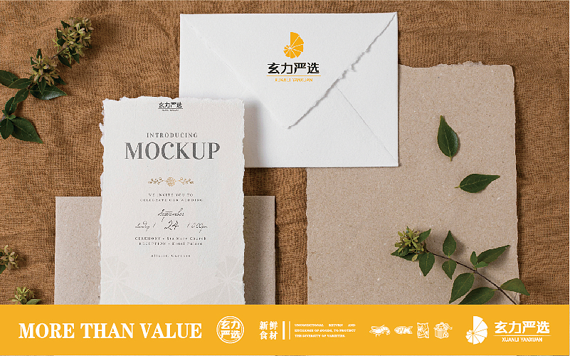 玄力严选品牌VI设计