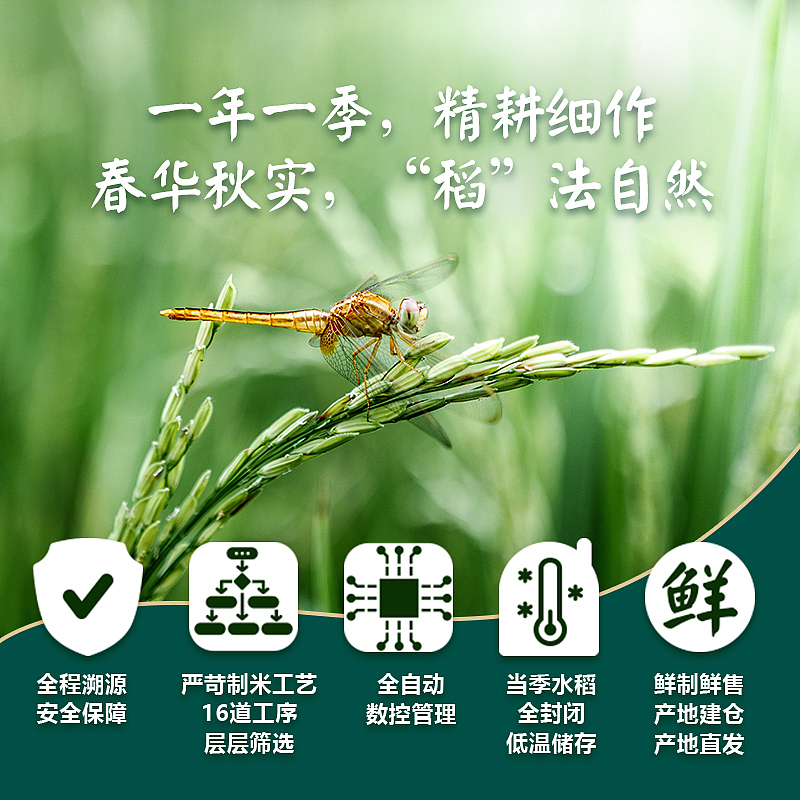 雙河大米-京東詳情頁&包裝設(shè)計(jì)（圖ZMzQ2NDQyOTYw） - 宣傳物料 - 站酷設(shè)計(jì)師庭凌亂原創(chuàng)素材 - 站酷ZCOOL