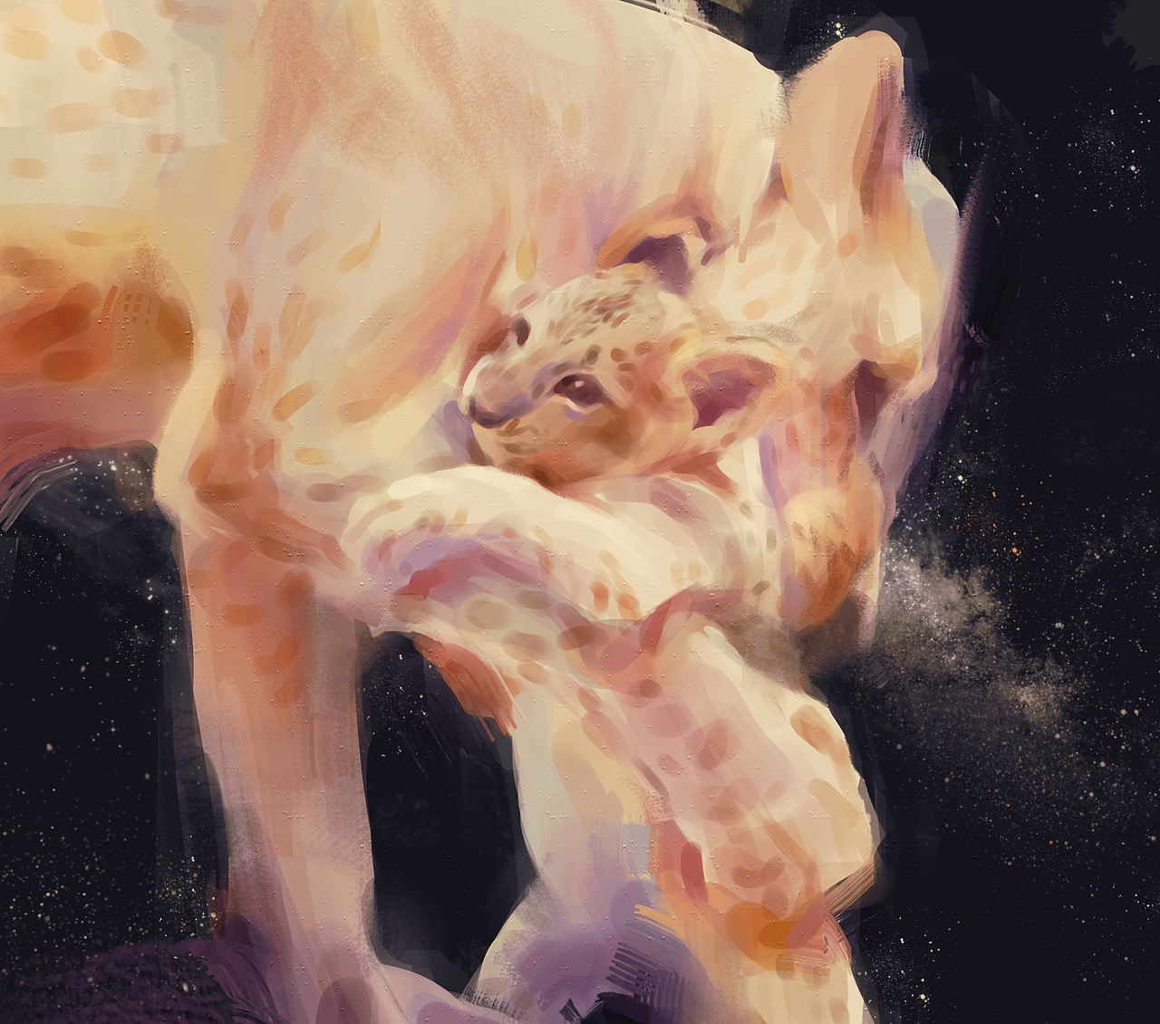 抱抱豹子宝宝👶