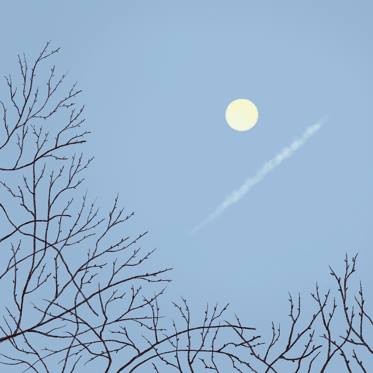 月娘总是照着我们