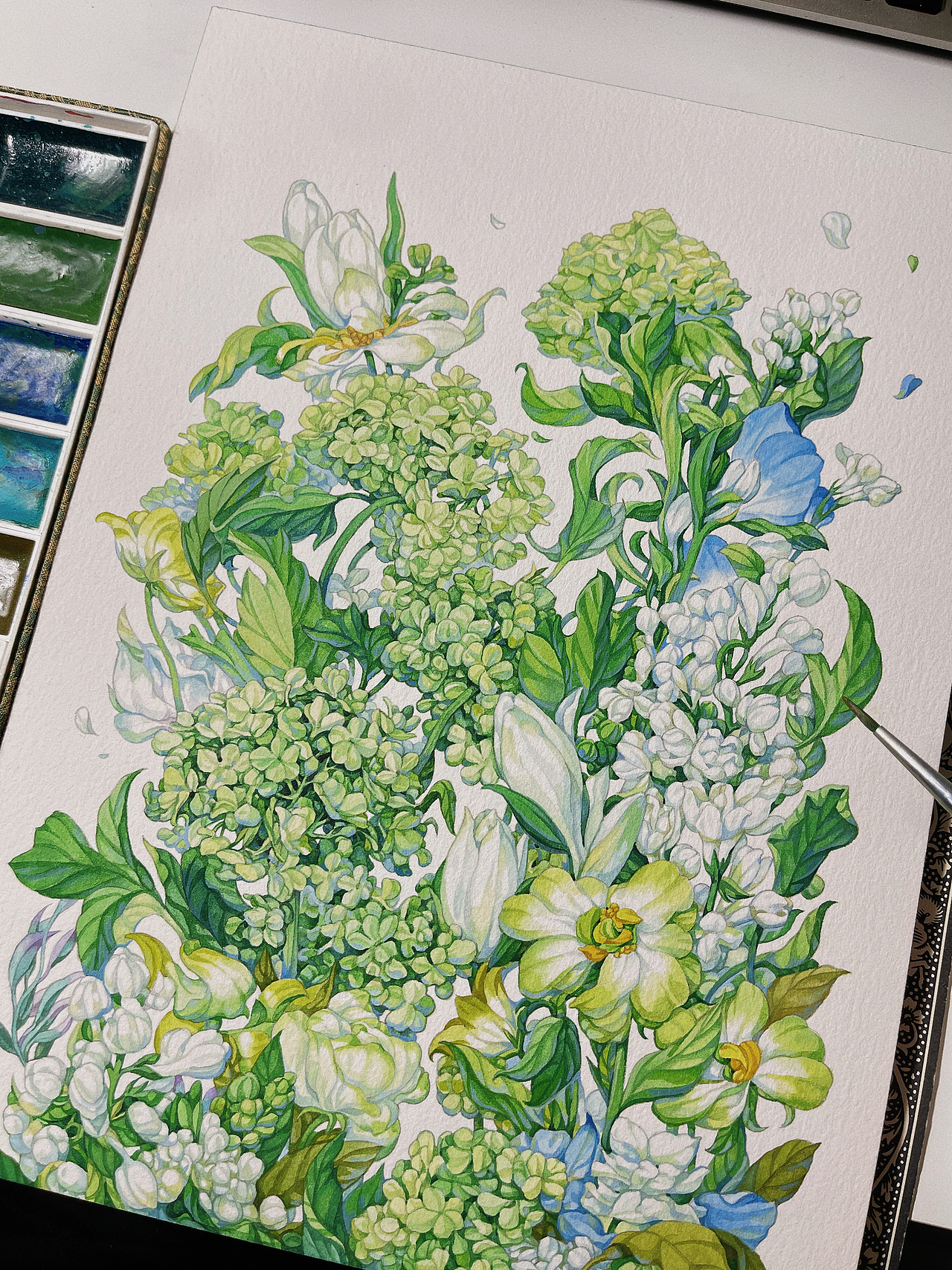 水彩花卉插画（带过程）（图ZMzQwMTMyMzk2） - 商业插画 - 站酷设计师三朝君原创素材 - 站酷ZCOOL