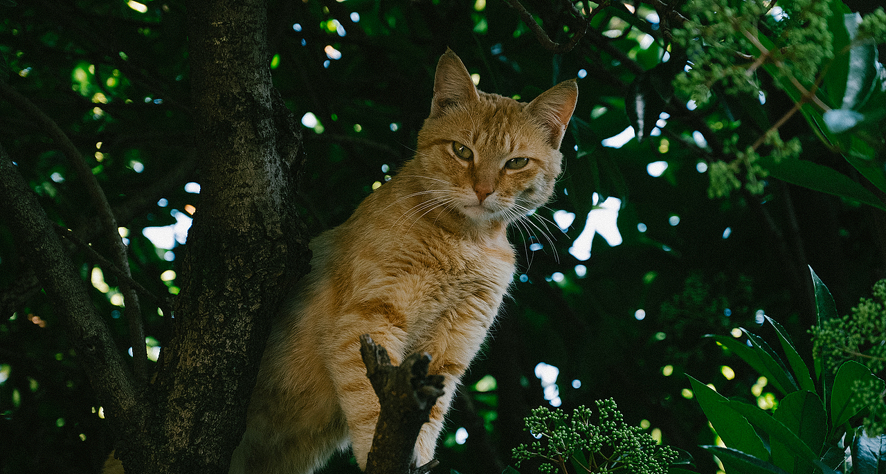 【午后摄影扫街】即将消失的老城区