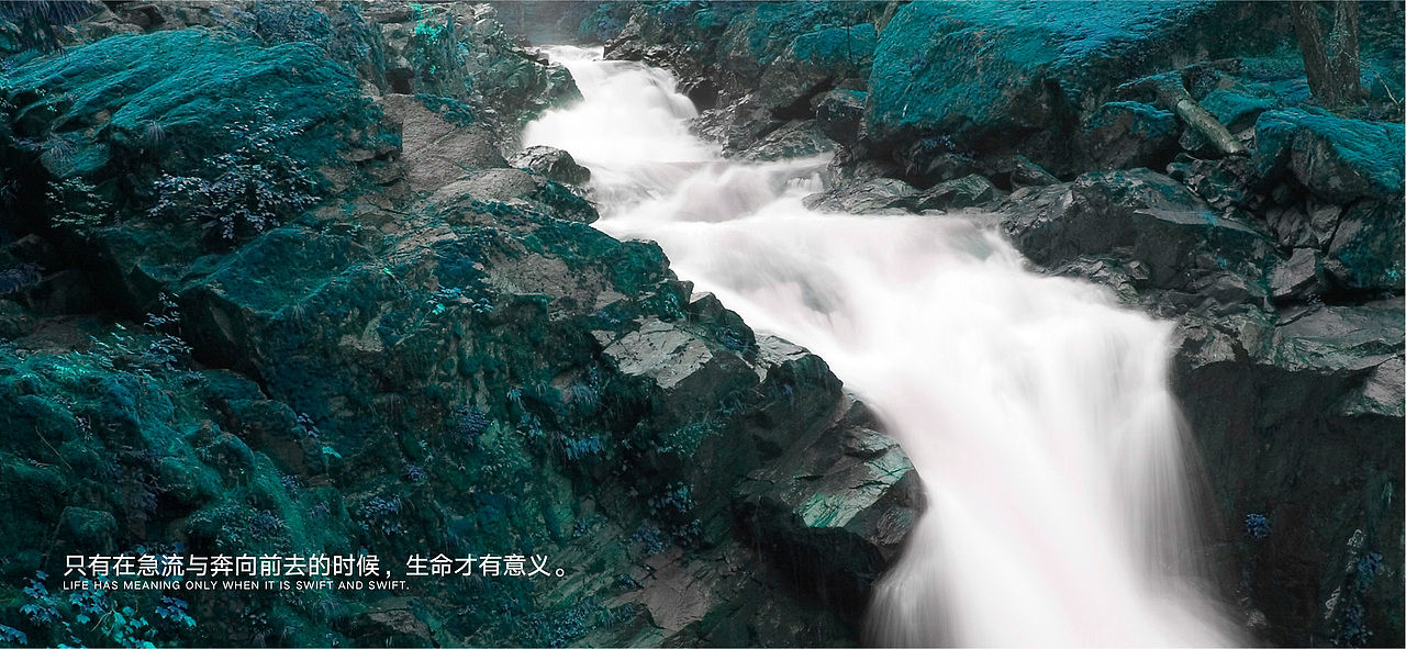 LOGO | 国控星鲨（图ZMjk2NTMwNjI4） - Logo - 站酷设计师于勒原创素材 - 站酷ZCOOL