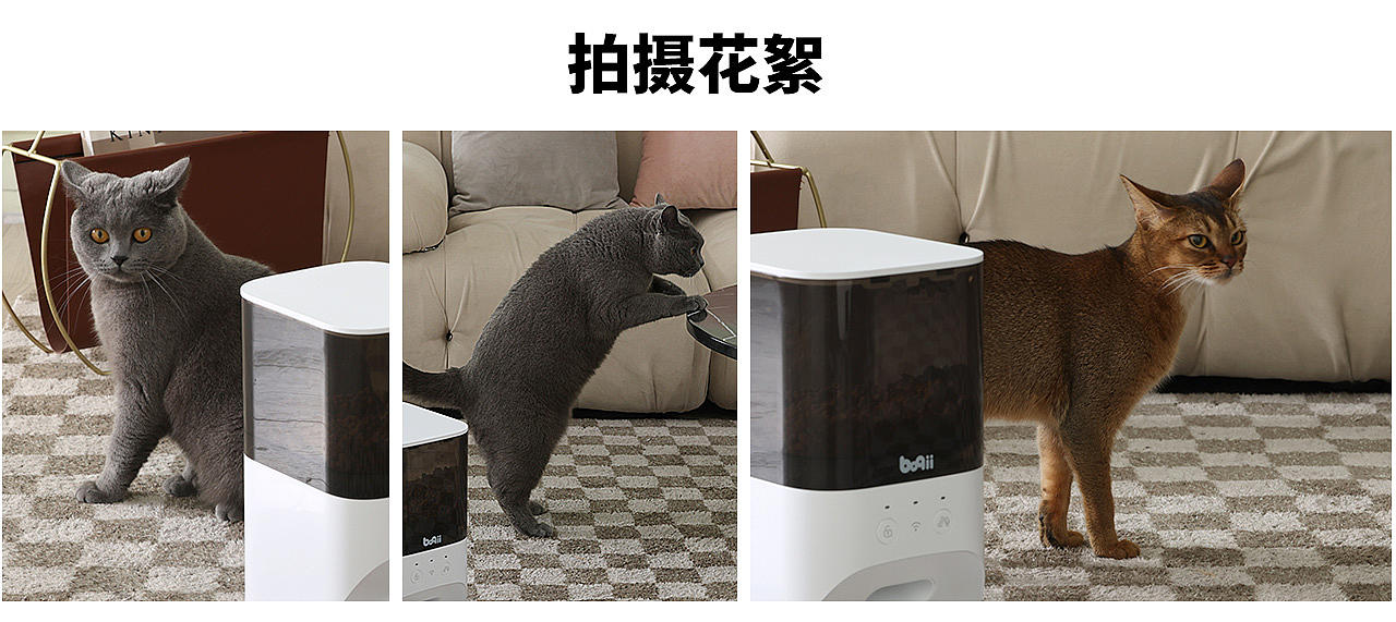 宠物用品拍摄 I Boqii x Robin&Phoebe（图ZMzE1NTQ0NzIw） - 产品摄影 - 站酷设计师Robin_Phoebe原创素材 - 站酷ZCOOL