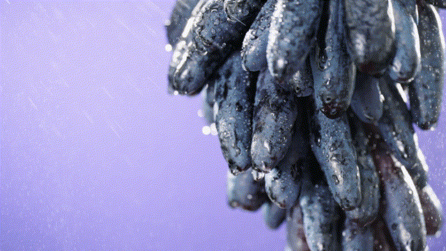 电商视频|水果茶视频（图ZMzIxMDc2NzQ4） - 产品摄影 - 站酷设计师亚集原创素材 - 站酷ZCOOL