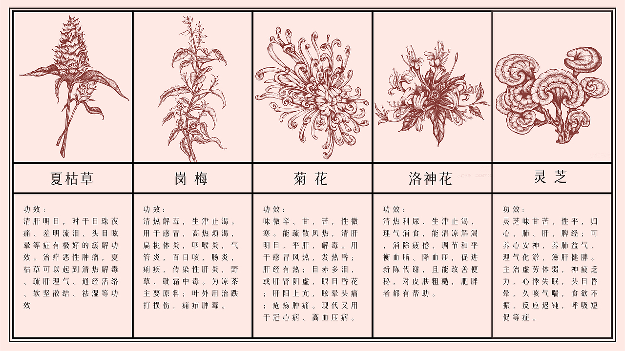 李宗仁中药堂视觉设计提案（图ZMjk2MjA0MDQ4） - 品牌 - 站酷设计师设计师WEN原创素材 - 站酷ZCOOL