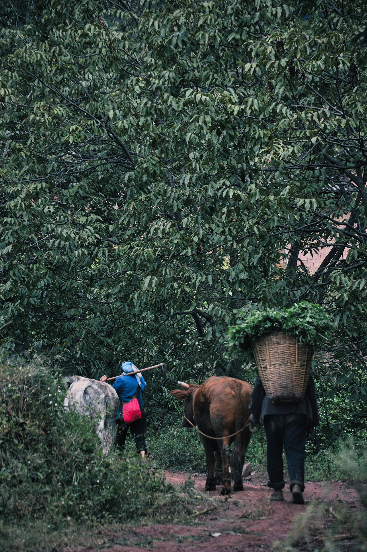 2013年国庆回家村子里（一）（图ZMzU2ODEzODk2） - 人文/纪实摄影 - 站酷设计师焦虑到掉头发原创素材 - 站酷ZCOOL