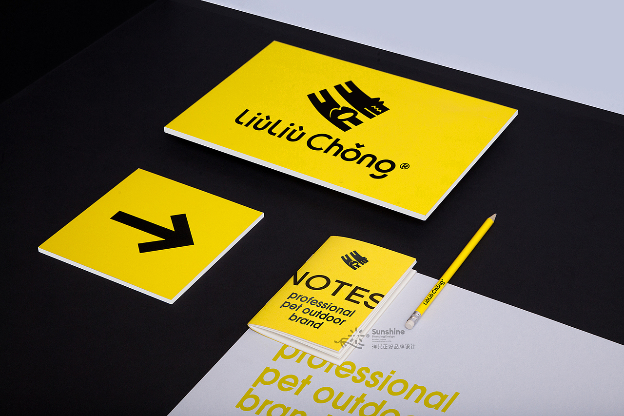 宠物LOGO 宠物包装 LOGO设计 宠物品牌设计 vi vi设计