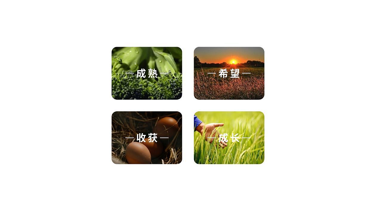 意创成都×鑫厨瑞丨优质厨房食材供应商（图ZMzAzMjE3NDM2） - Logo - 站酷设计师赖大憨168原创素材 - 站酷ZCOOL