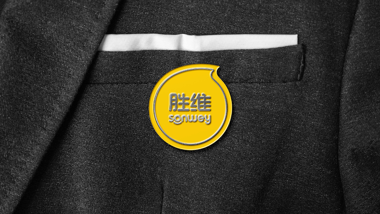 胜维教育集团品牌设计 | ZANCHENG BRAND