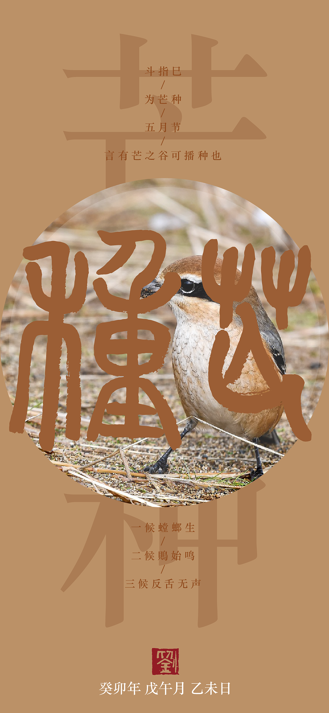 2023节气和传统节日篆书手机壁纸-更新中